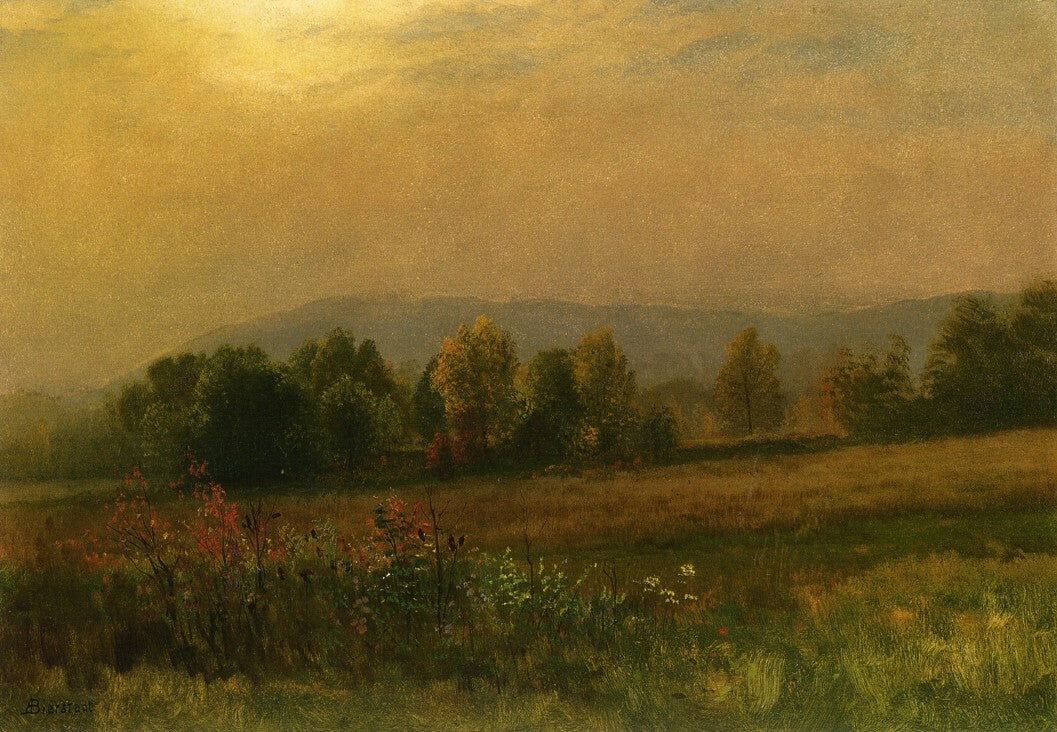 Oil painting New-England-Landscape-Albert-Bierstadt-oil-painting landscape art