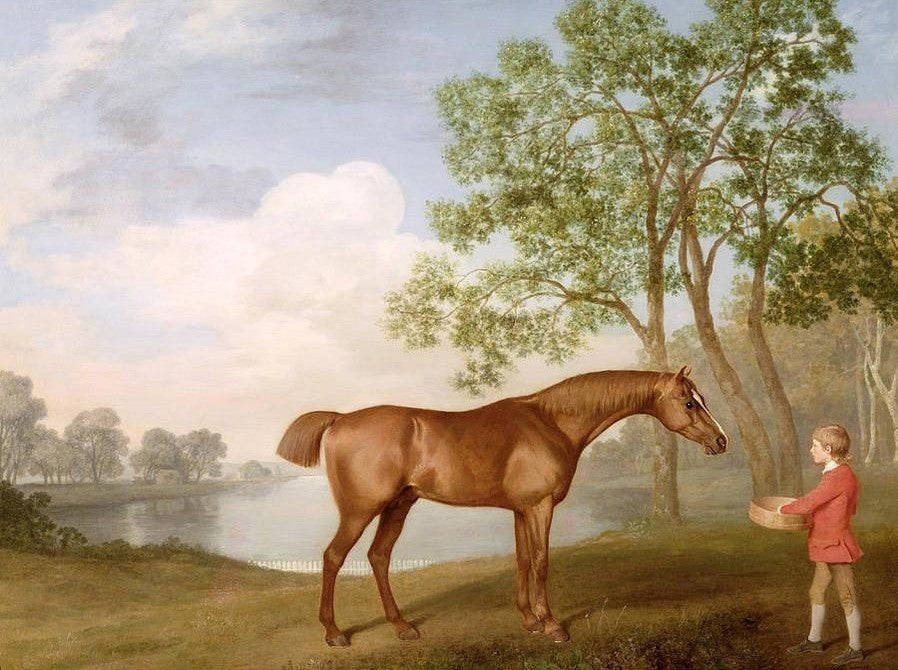 Classical oil painting young boy feeding the red horse by river landscape canvas