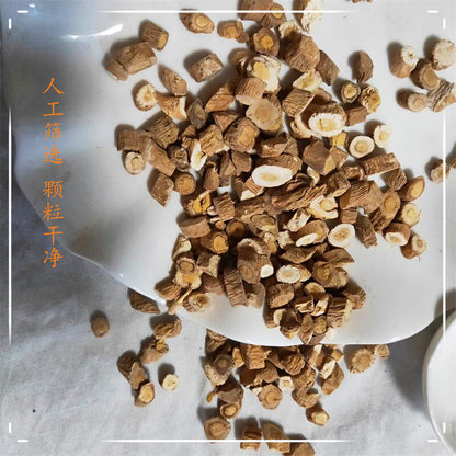 板蓝根中药材Radix isatis chinensis