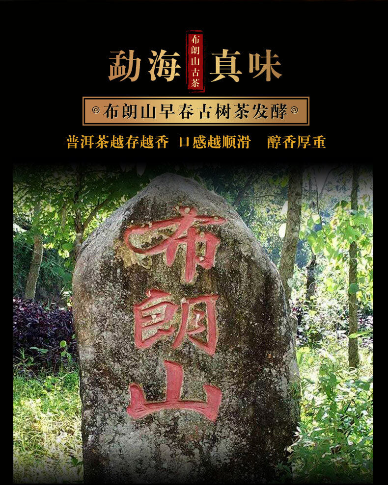 Xin Yi Hao Bulang Mountain Old Tree Tuo Cha Pu-erh Tea 500g Ripe