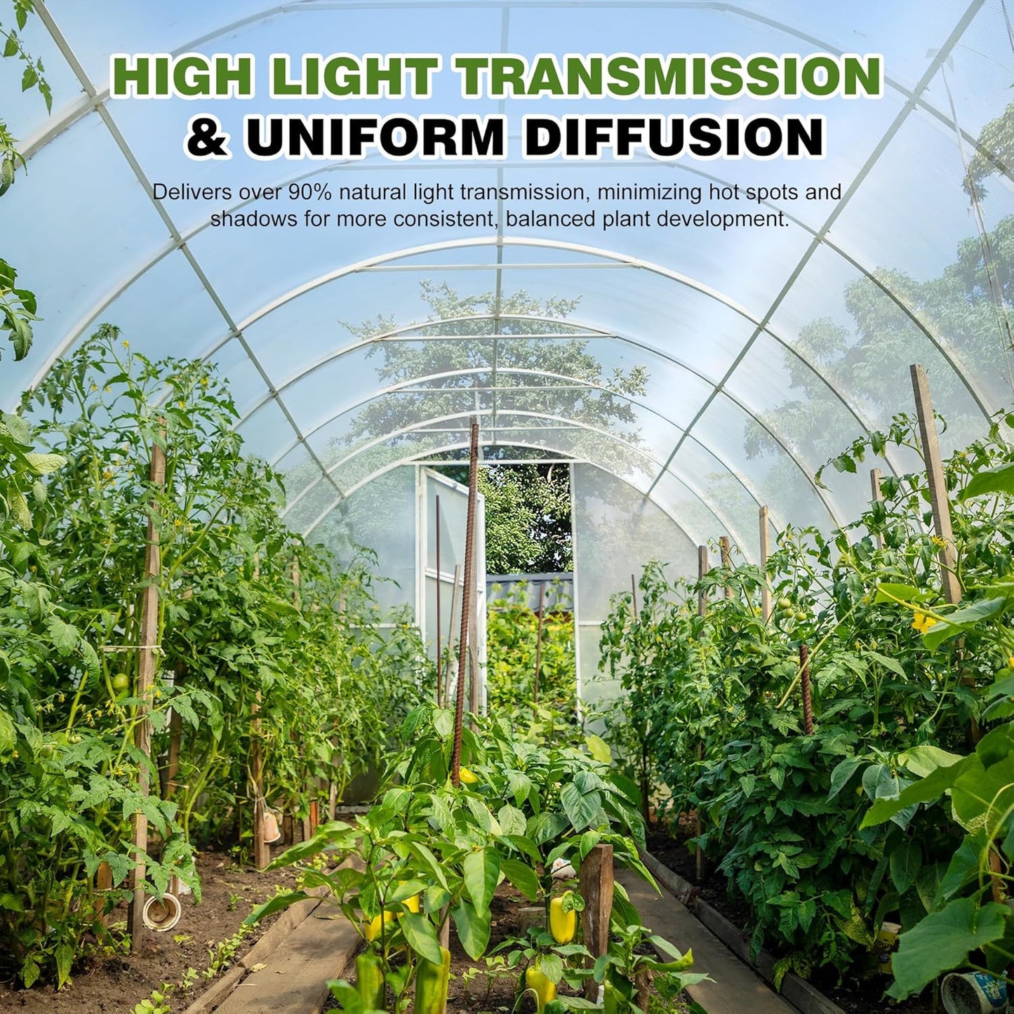 6 Mil 10X25 FT Clear Greenhouse Plastic Sheeting, Heavy Duty UV Resistant Tear-P