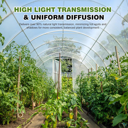 6 Mil 10X25 FT Clear Greenhouse Plastic Sheeting, Heavy Duty UV Resistant Tear-P
