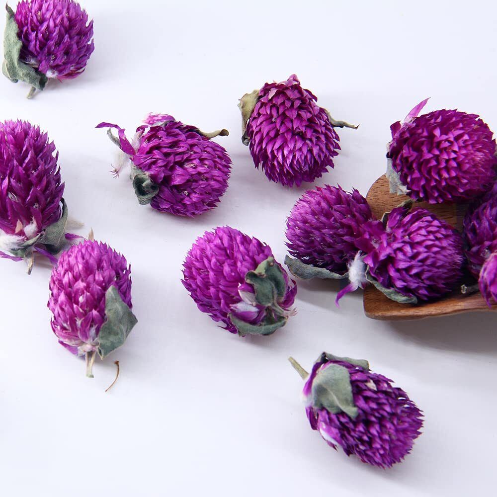 Dried Gomphrena Globosa Flower Tea Blooming Flower Tea Herbal Tea 1.75oz/50g