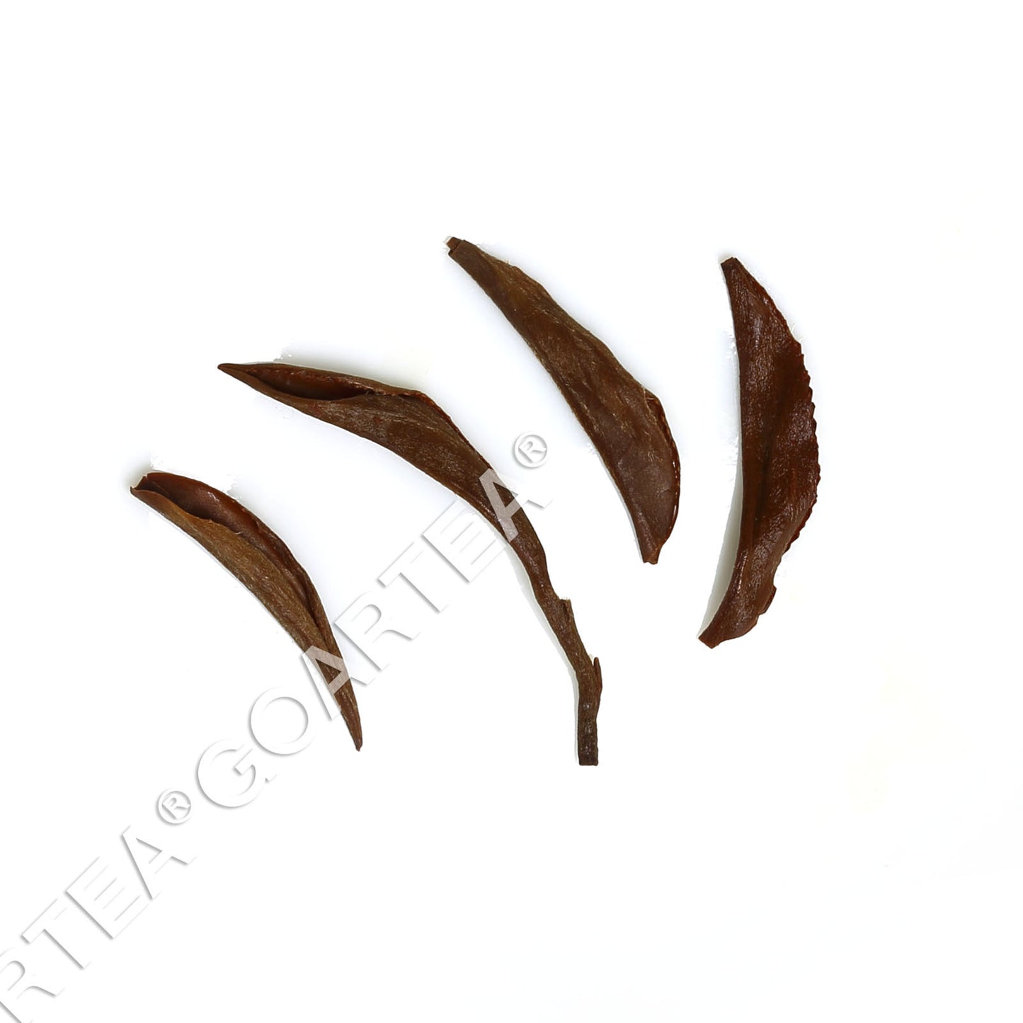 GOARTEA Supreme Wuyi Jinjunmei Eyebrow Black Tea Black Tea Loose Golden Buds-