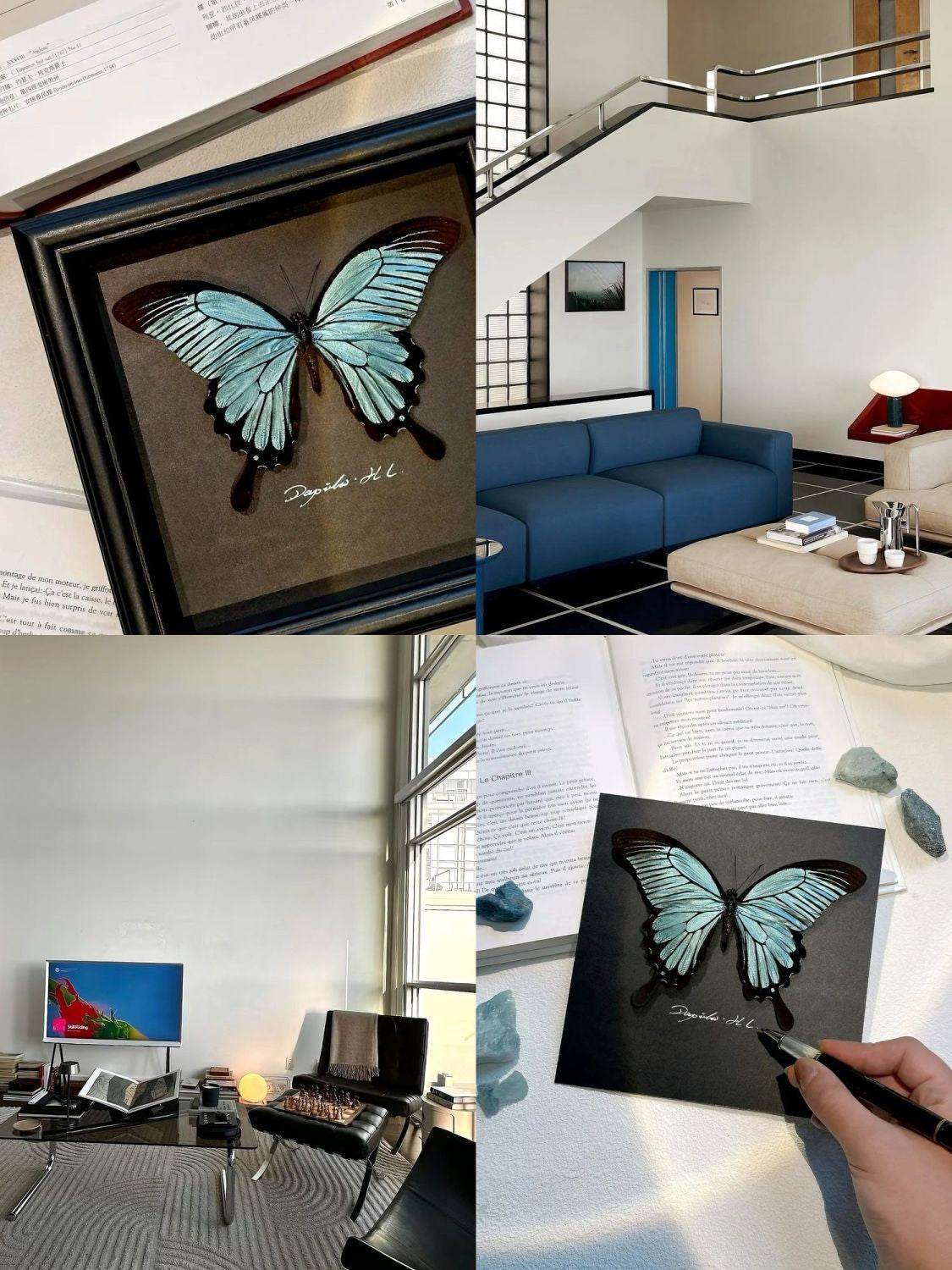Papilio Helenus Butterfly Specimen, Morpho Didius Alternative, Framed Decor