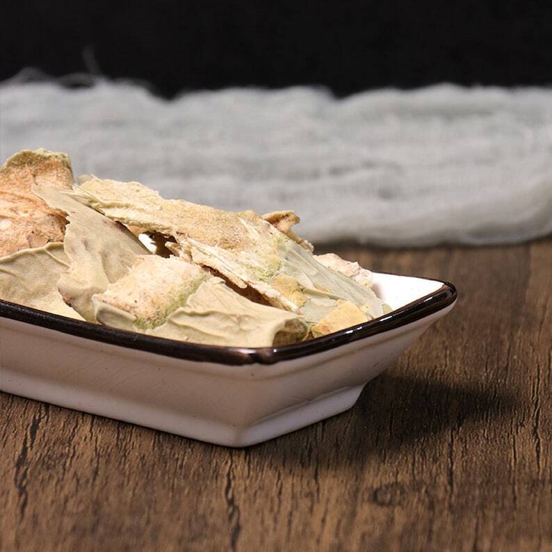 Herbal Radix et Caulis Opuntiae Dillenii Cholla Root and Stem Great Quality