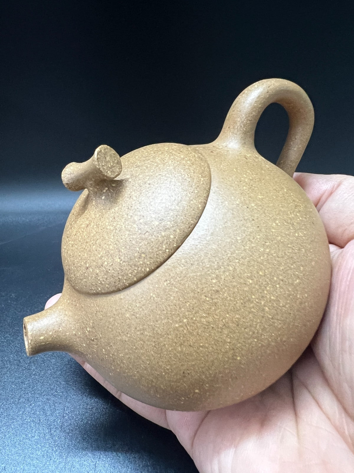 150cc chinese Yixing Handmade Zisha teapot Duan Clay Eggplant Hu Gongfu Tea Pot