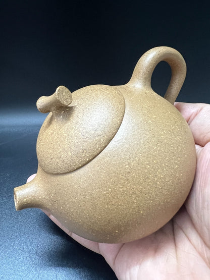 150cc chinese Yixing Handmade Zisha teapot Duan Clay Eggplant Hu Gongfu Tea Pot