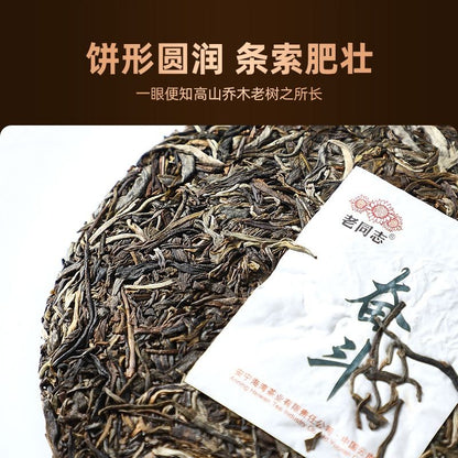 357g Pu Erh Tea, Strive Raw Tea Cake, 2026 Spring Tea, Aged for 3 Years
