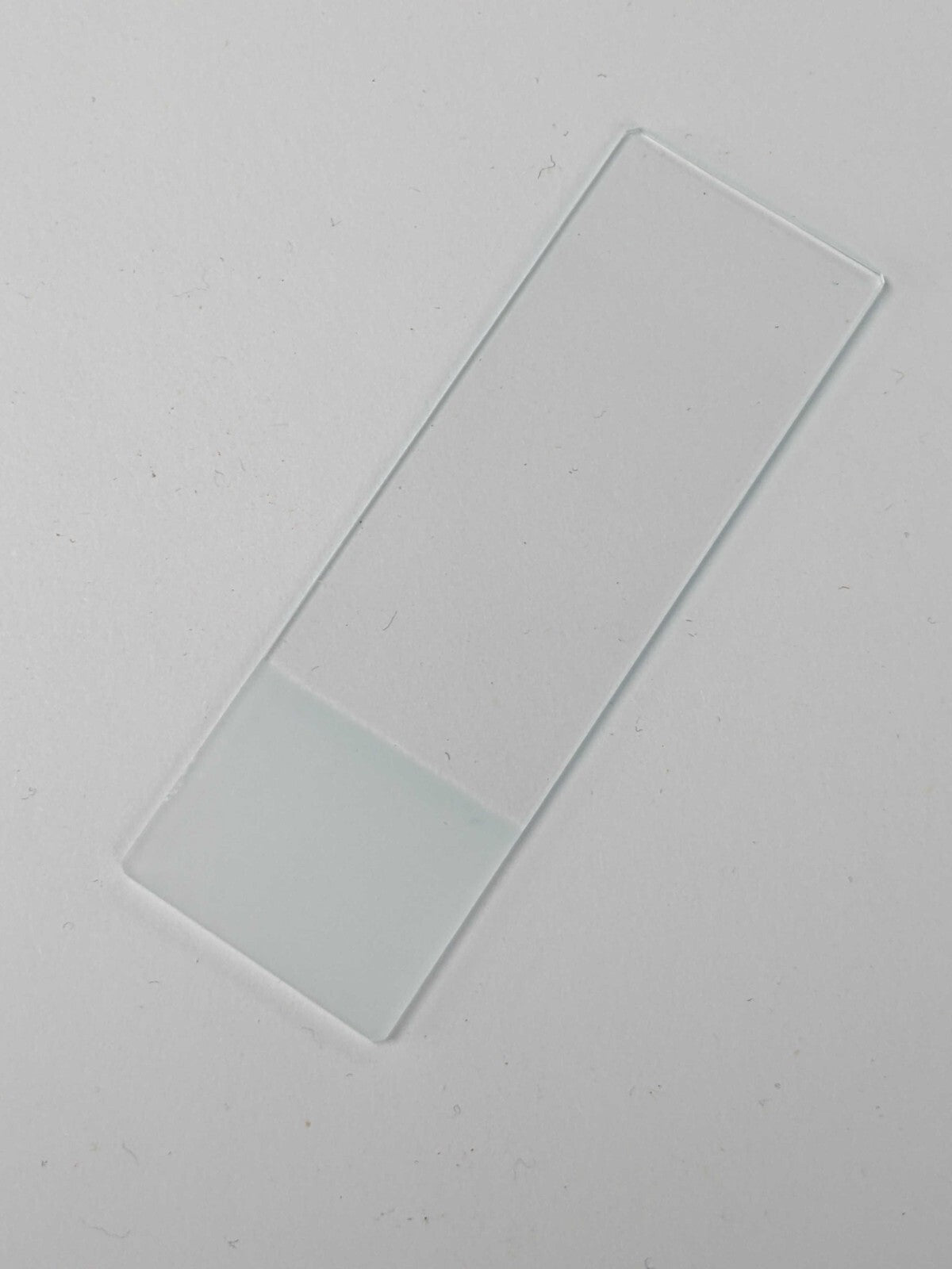 72 Count Premiere 3"x1" Glass Microscope Slides Frosted End, 1mm Thick (9107-E)