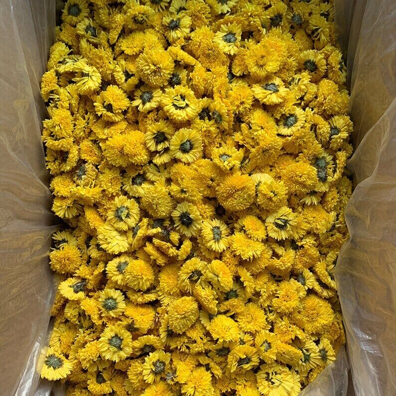 Imperial Chrysanthemum Flower Tea,chinese Imperial Chrysanthemum Tea,flower Tea