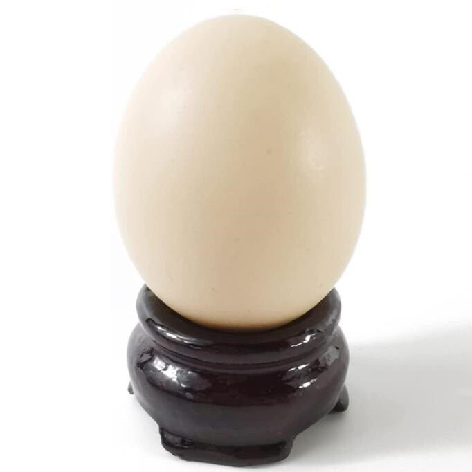 Display Wooden Stand Base For Crystal Ball Sphere Egg Stone Decor 20 PCS 2 Sizes