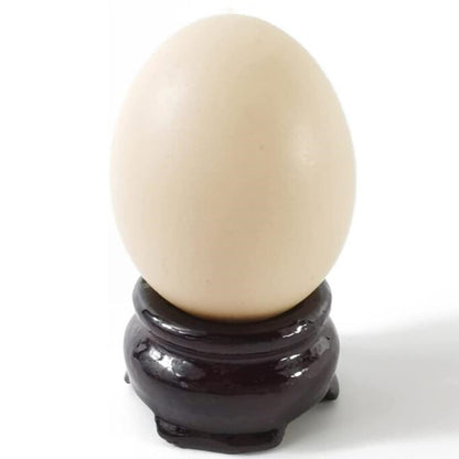 Display Wooden Stand Base For Crystal Ball Sphere Egg Stone Decor 20 PCS 2 Sizes