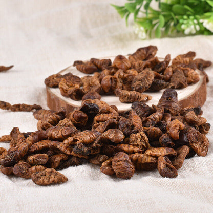 Dried Cicada Chrysalis Dried Silkworm Chrysalis Chinese Herbs 500g/1.1lb