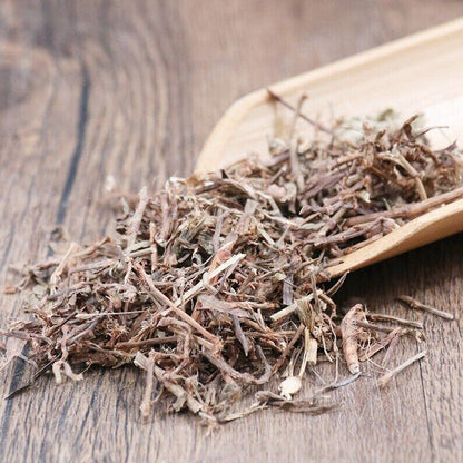Organic Herbal Common Knotgrass Herb Herbal Polygoni Avicularis Great Quality