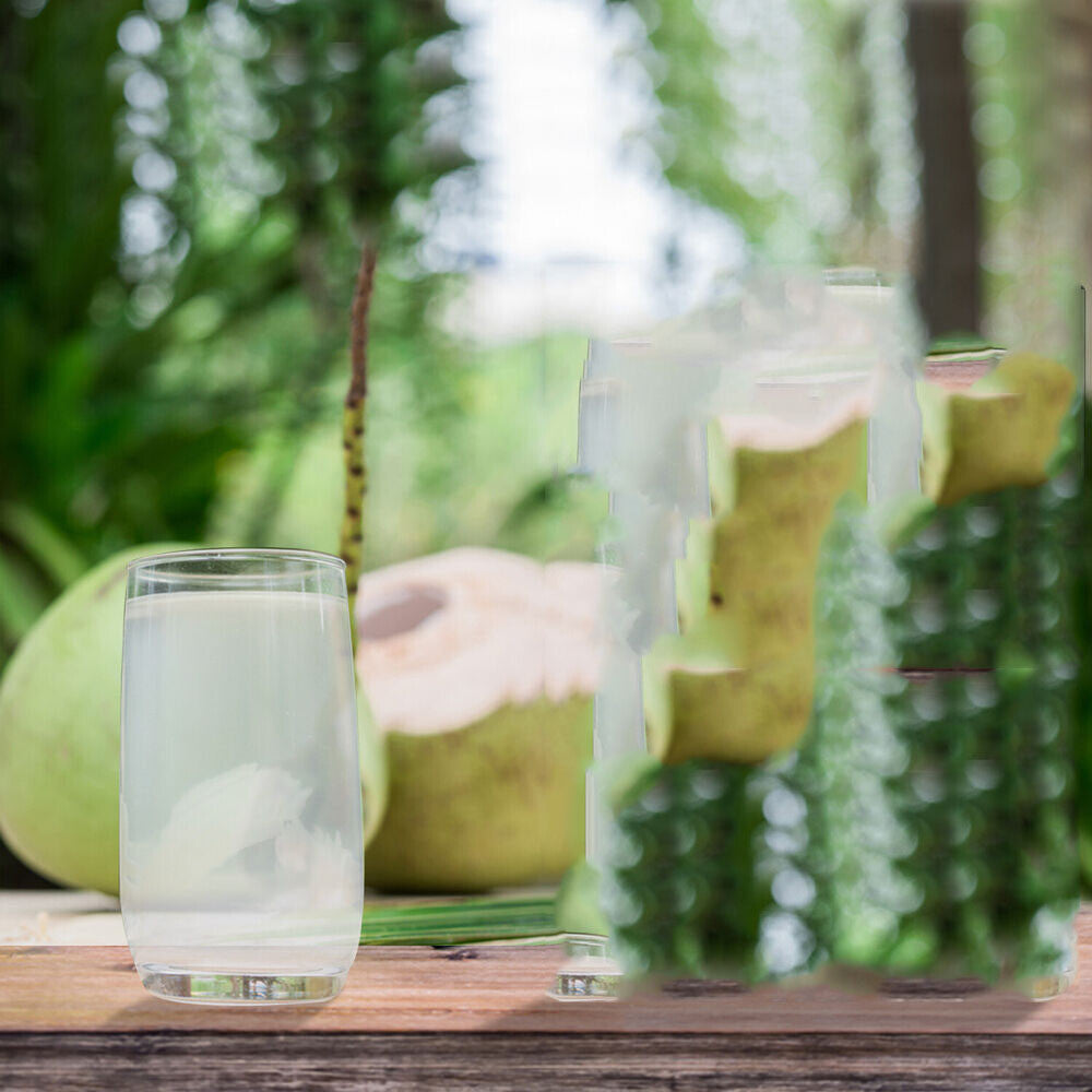 Coconut Water Powder 1.1 lb Non-Gmo Electroytes
