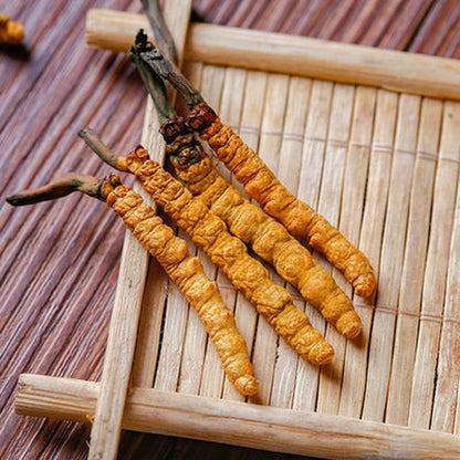 Wild Cordyceps Sinensis From High Himalaya China Tibet Puretaste 2pcs(1g)