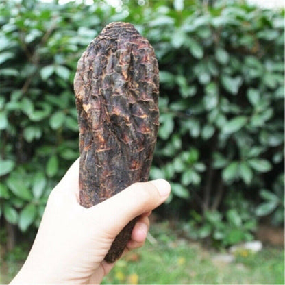 500g/1000g Natural Sinkiang Desertliving Cistanche Herb Wild Tonic Rou Song Rong