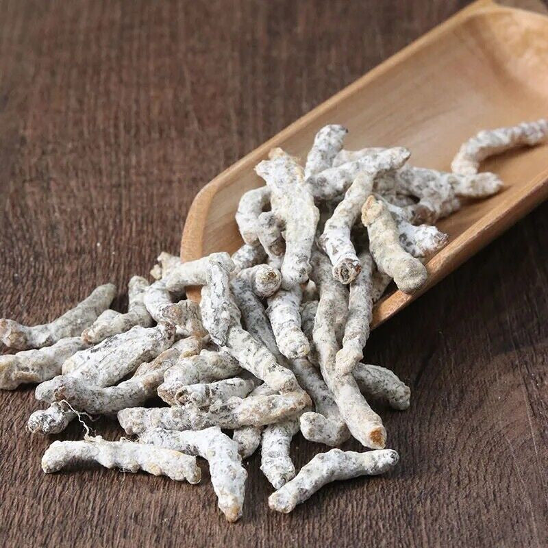 250g / 8.8oz Silkworm Larva (Bombyx Batryticatus / Bombyx Mori)