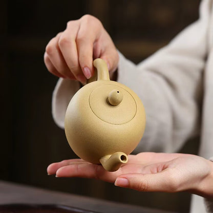 Chinese Tea Pot Real Yixing Zisha Duan Clay Marked Pot 240ml 7 Infuser Holes New