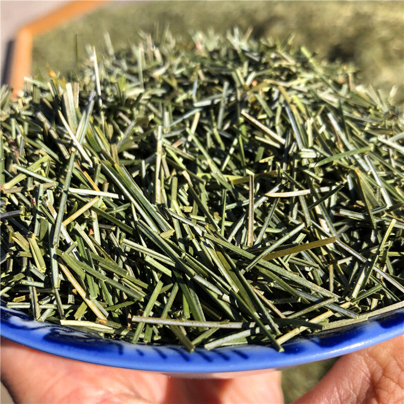 Dried Pine Needle Tea Premium Red Pine Needles Loose Leaf Herbal Tea