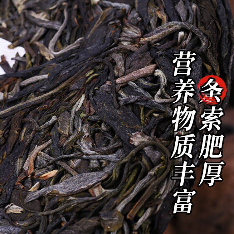 Yiwu Shafengzhai Green Aroma High Water End Soft Puerh Raw Tea 357g/12.59oz