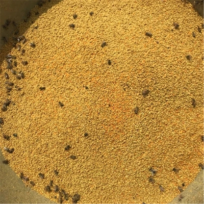 500g100% Natural Bee Pollen High Quality Chinese Herbs Harvest