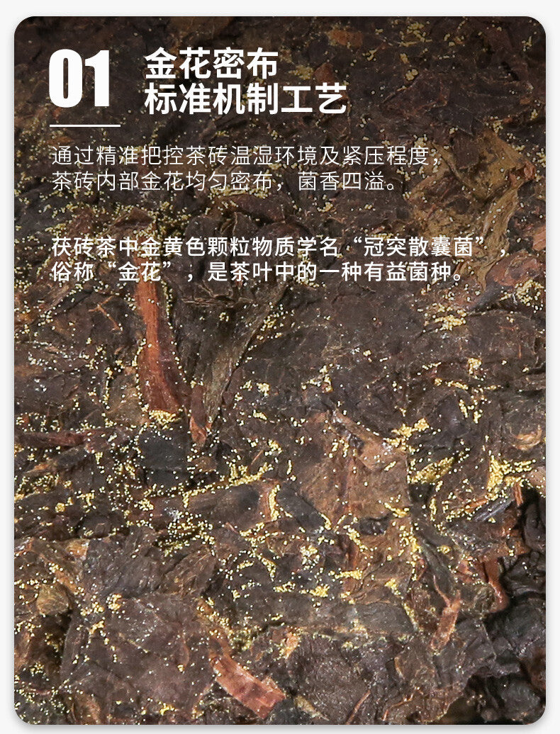 COFCO Jin Hua Chun Ye * Hunan Anhua Dark Tea Golden Flower Fu Brick Tea 760g