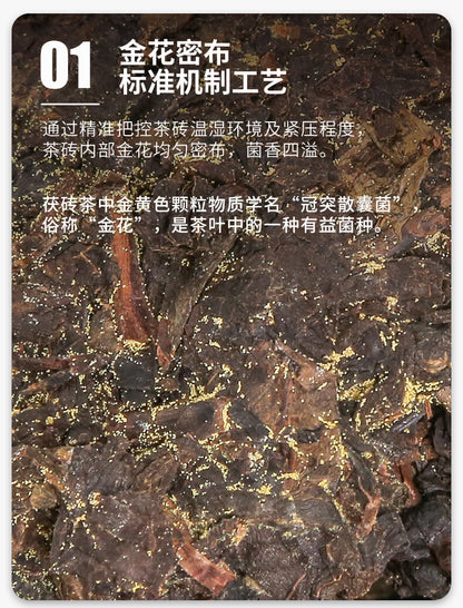 COFCO Jin Hua Chun Ye * Hunan Anhua Dark Tea Golden Flower Fu Brick Tea 760g