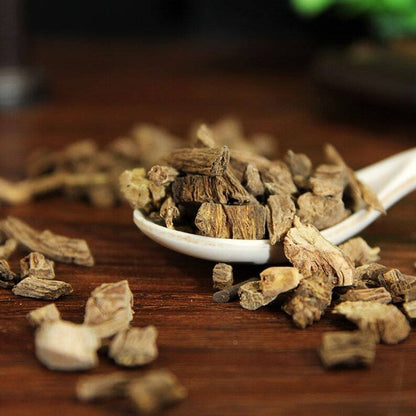 Organic Herbal Himalayan Teasel Root Radix Dipsaci Great Quality