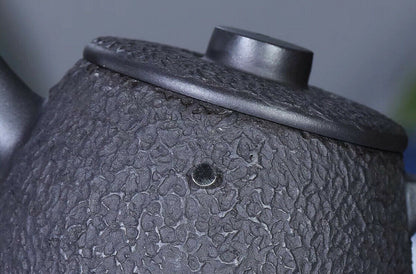260cc Chinese Handmade JuLun Tea Pot Purple Sand Black Clay Gongfu Rich Iron Tea Pot-