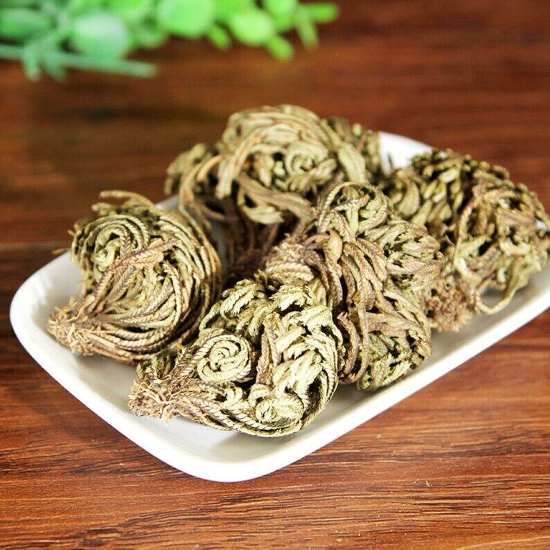 Organic Herbal Selaginellae Tamariskoid Spikemoss Herb Great Quality