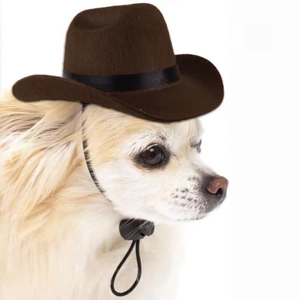 Dog Cat Western Cowboy Hat Pet Hat Pet Accessories Photo Prop Universal Retro