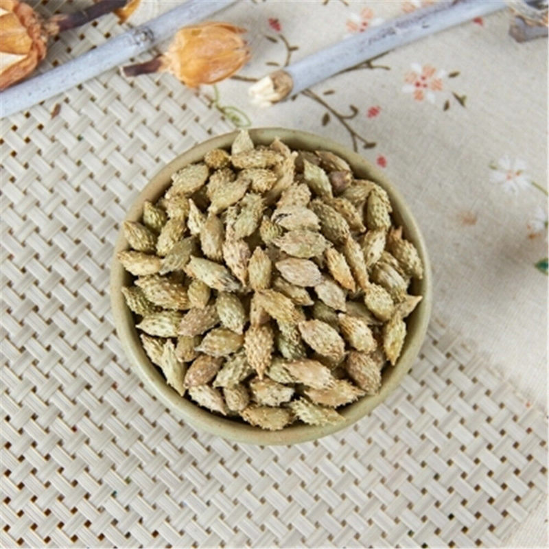 500g 100% natural Chinese herb Top Quality Cang Er Zi (Fructus Xanthii) 苍耳子