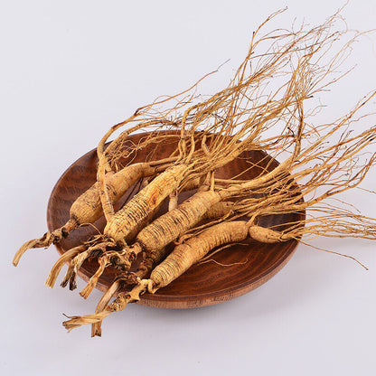 Dry Transplant Wild Ginseng Root 10-15 Years relative integrity China herbal