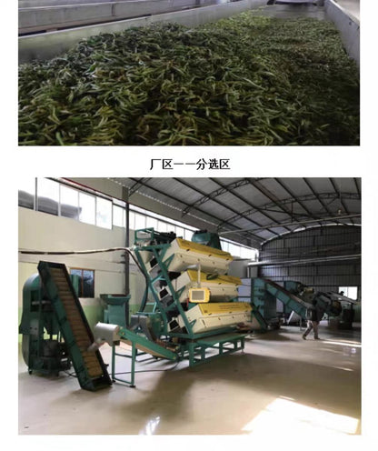 Yunnan Lincang Fengqing Xia Shan Mountain Green Tea Grade I 160g