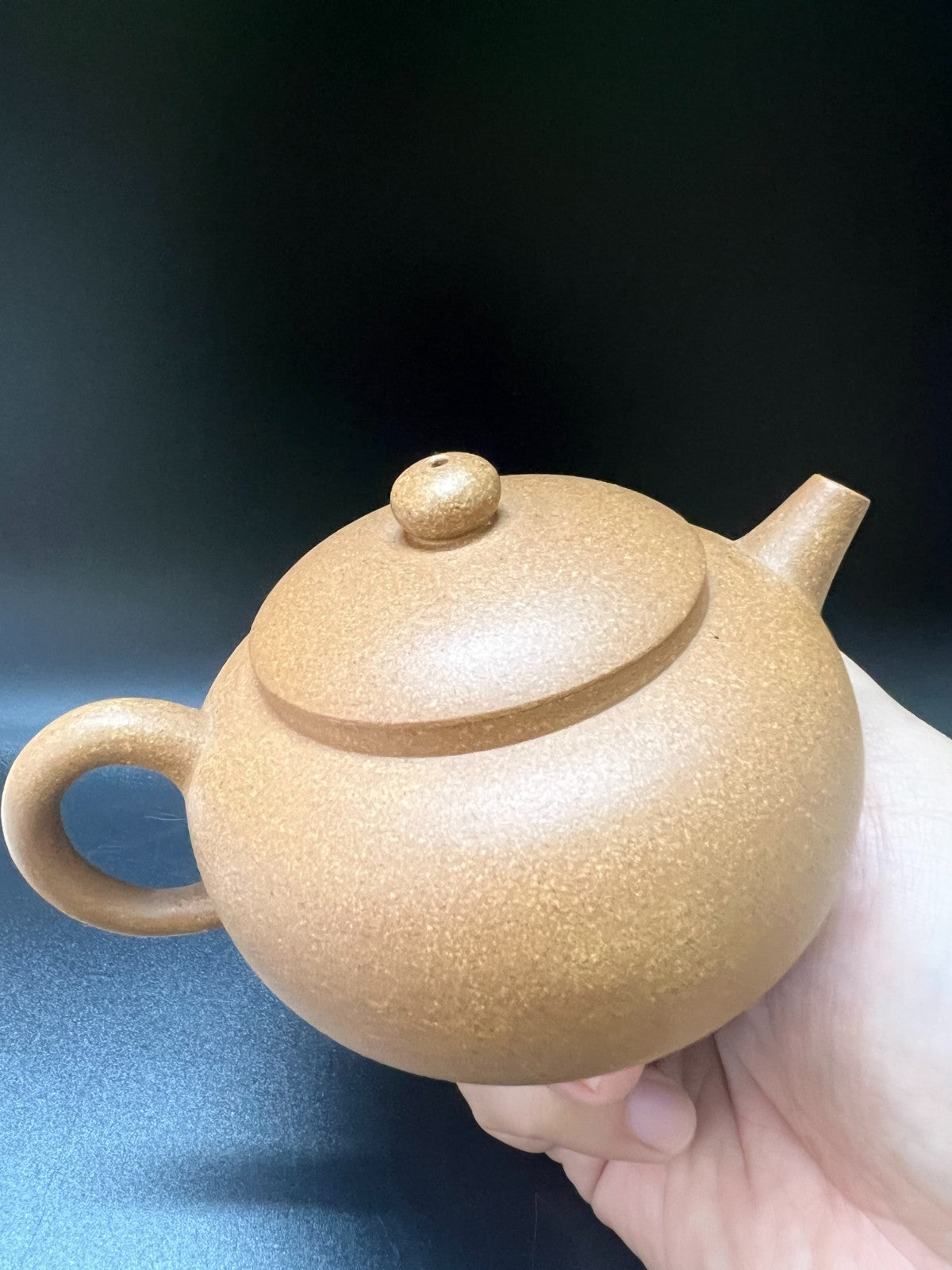220cc chinese Yixing Handmade Zisha teapot Duan Clay XiShi Gongfu Hu Tea Pot