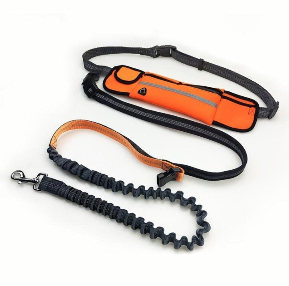 Shock Absorbing Bungee Dog Leash with Waist Bag - Hands-Free