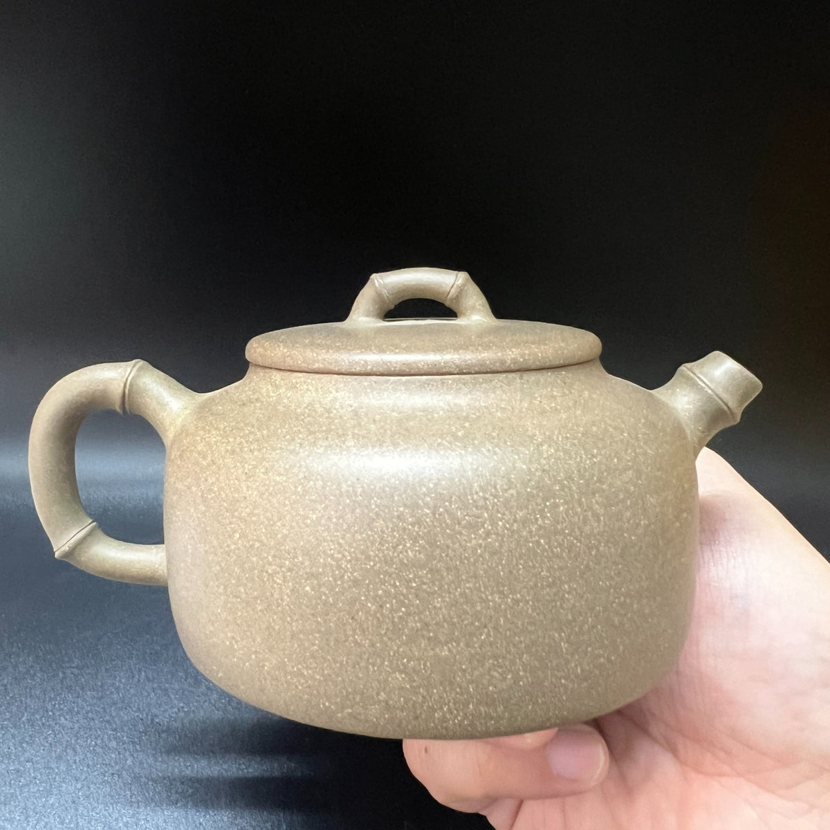 220cc chinese Yixing Handmade Zisha teapot Duan Clay ZhuYing Hu Gongfu Tea Pot