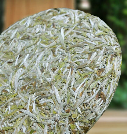 Bai Hao Yin Zhen Silver Needle White Loose Tea cake China Fujian fuding tee 300g