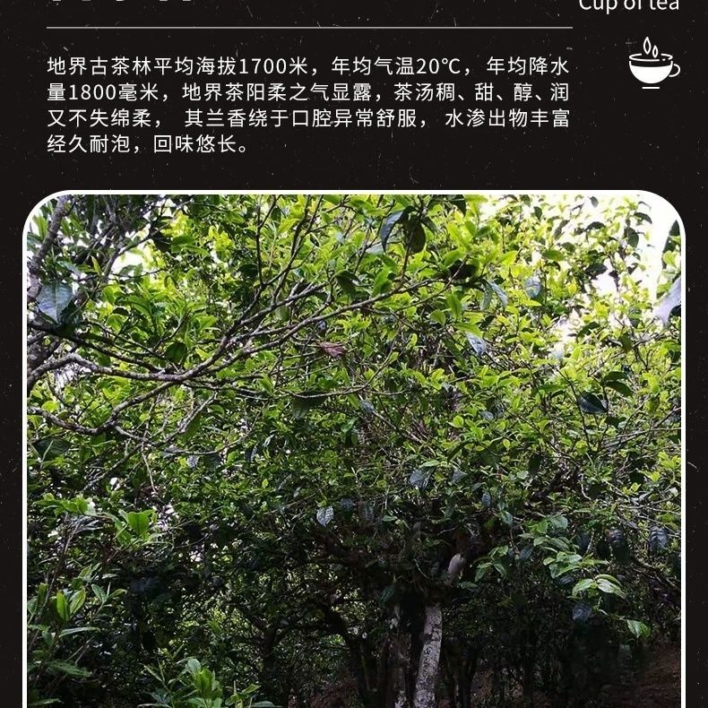 500g Puerh Ripe Tea Lao Cha Tou Yunnan Pu'er Cooked Tea Old Tree Puer Black Tea