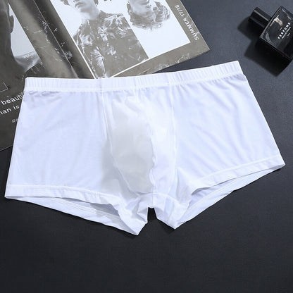 Men's Sexy Ice Silk Transparent Convex Panties Boxer Briefs Underpants Underwear