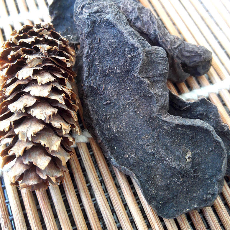 Dried Black Bean Wild He Shou Wu,Natural Polygonum Multiflorum Root,Herbal Tea