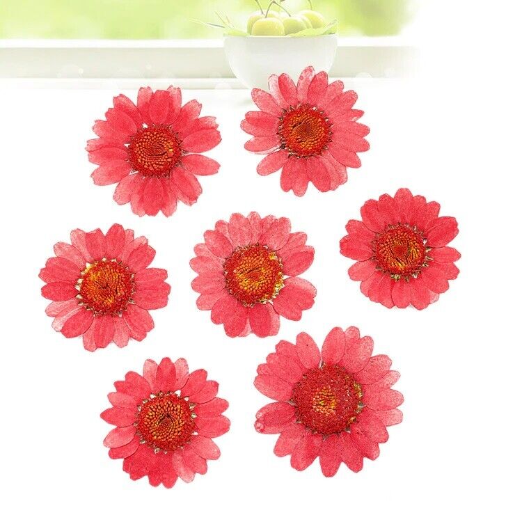 Dried Flowers Pressed Dry Daisy Epoxy Resin Jewelry Making Materials 120Pcs/Lot