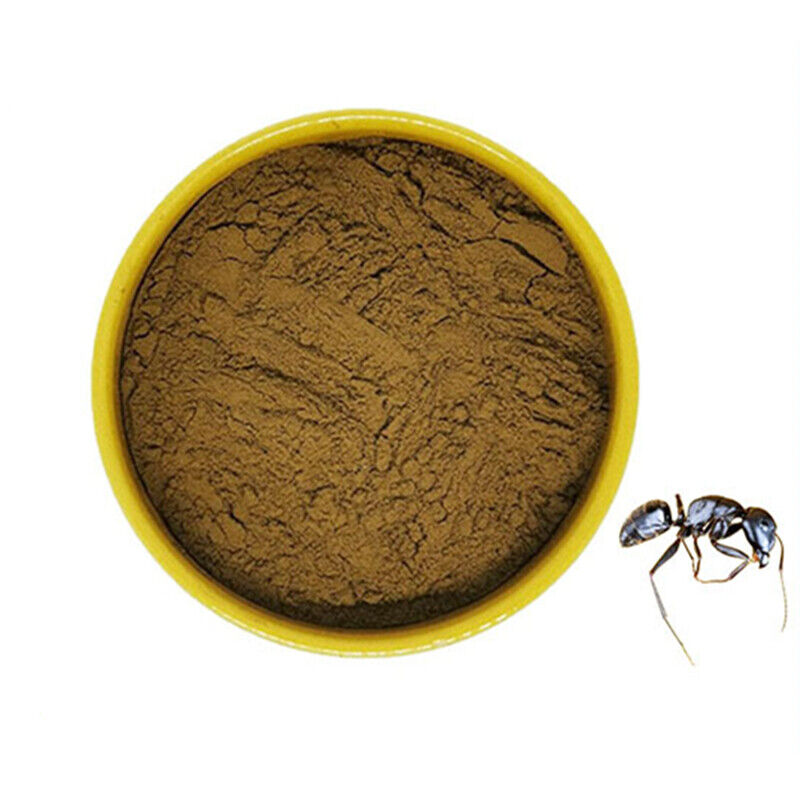 Black Ant Polyrhachis Vicinan Roger 30:1 Extract Powder 100g~500g