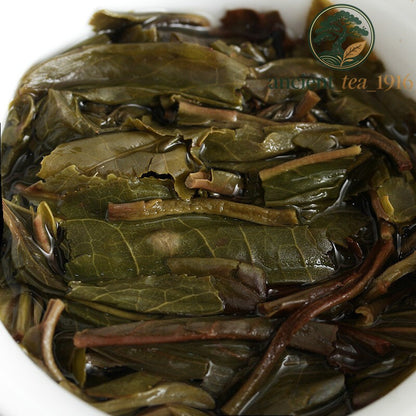 100g Pu'er Tea Raw Pasha Big Tree Cake Natural Premium
