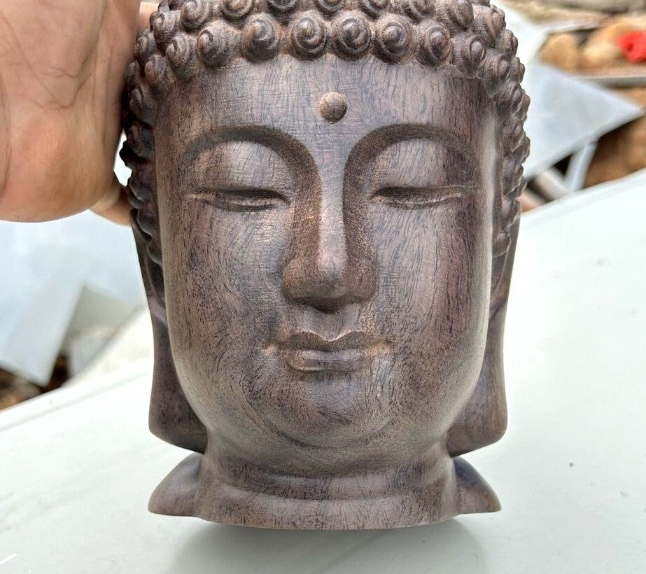 8.3" Natural Agilawood Carved Sakyamuni Buddha Head Statue Buddhism Collect