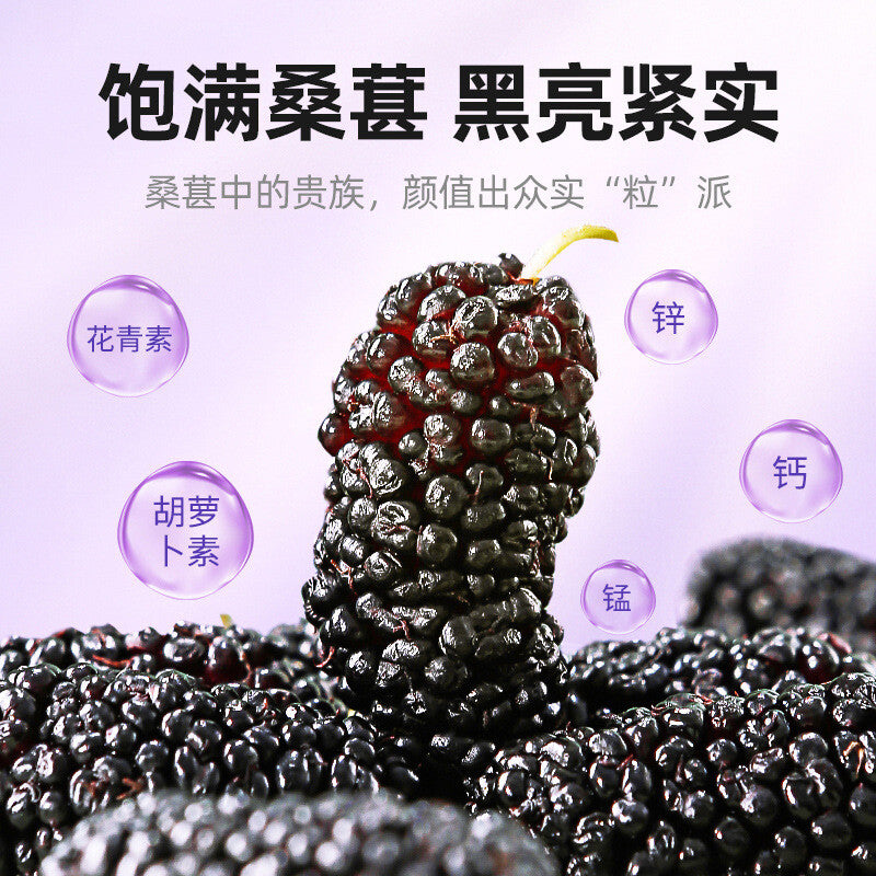 200g黑桑葚 Dried Black Mulberries / Natural Snacks / Teas