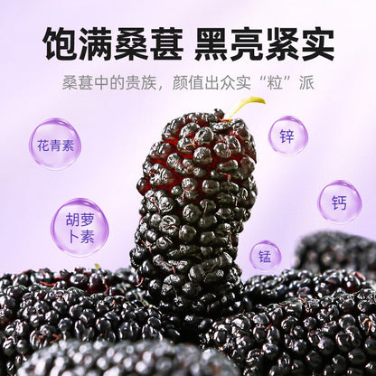 200g黑桑葚 Dried Black Mulberries / Natural Snacks / Teas