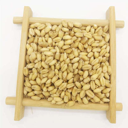 Floating WheatWhite Products Agricultural ProductsChinese Medicinal Herbs 500g